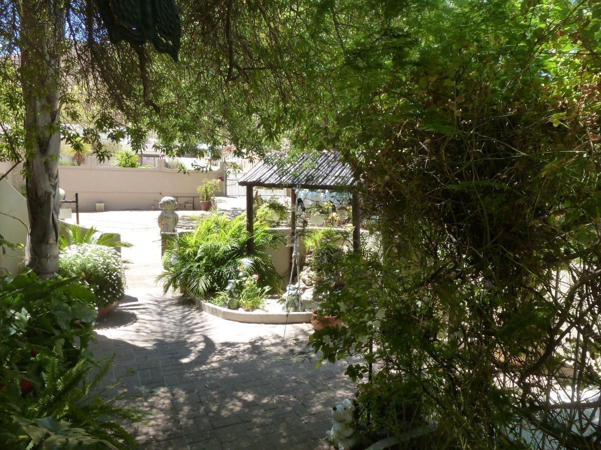 Springbok Apartments المظهر الخارجي الصورة
